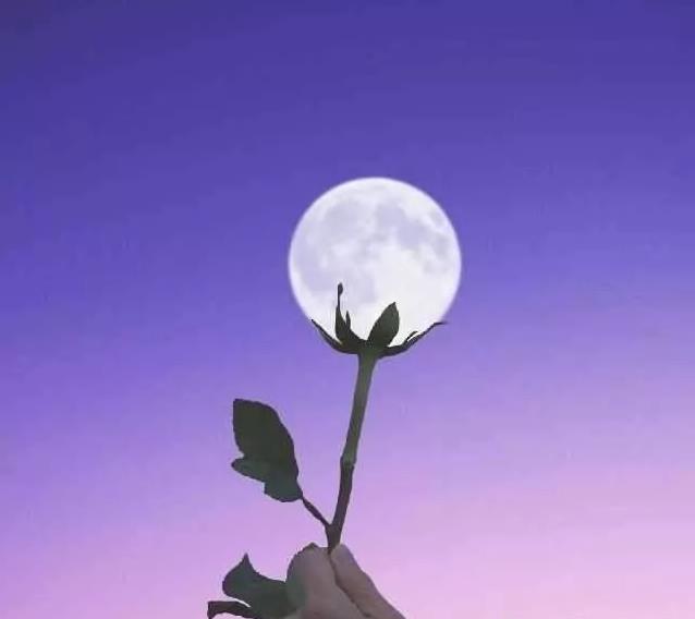心理测试:你到底有多跟自己过不去? 心理测试:你到底有多跟自己过不去?
