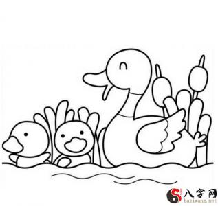 梦见小鸭子游泳