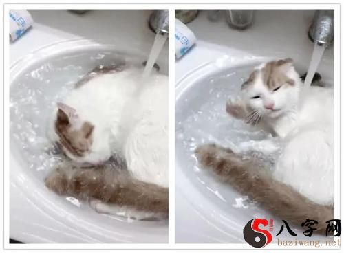 梦见放水洗澡