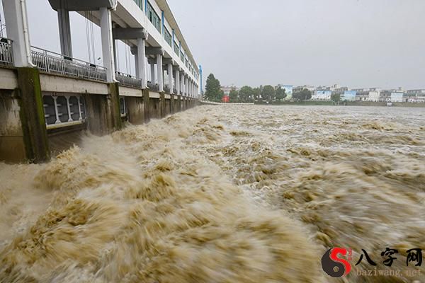 梦见特大洪水滚滚而来